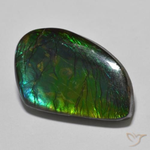 21.44ct 자연스러운 다색 암몰라이트, 팬시한, 불투명체