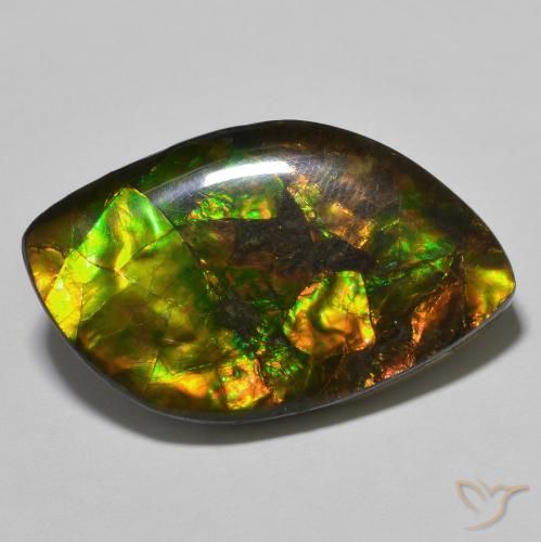 22.60ct 자연스러운 다색 암몰라이트, 팬시한, 불투명체