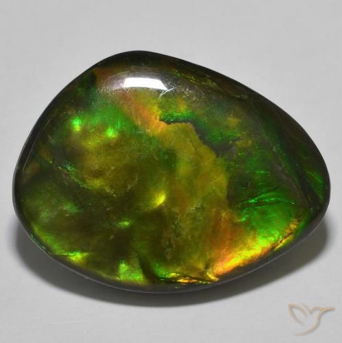 22.15ct 자연스러운 다색 암몰라이트, 팬시한, 불투명체
