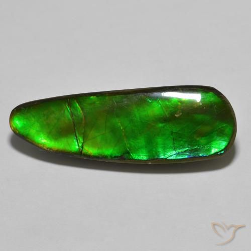17.83ct 자연스러운 다색 암몰라이트, 팬시한, 불투명체