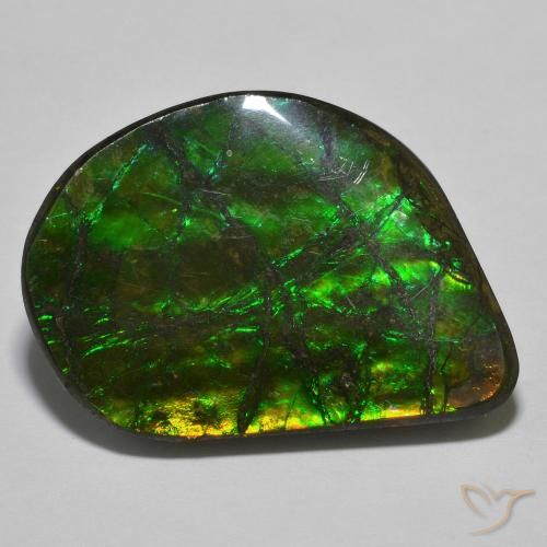 21.40ct 자연스러운 다색 암몰라이트, 팬시한, 불투명체
