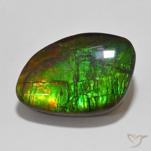 13.47ct 자연스러운 다색 암몰라이트, 팬시한, 불투명체