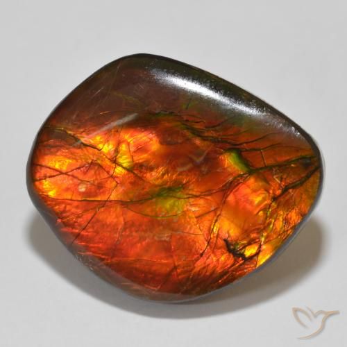 15.32ct 자연스러운 다색 암몰라이트, 팬시한, 불투명체