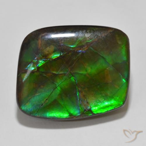 14.81ct 자연스러운 다색 암몰라이트, 팬시한, 불투명체