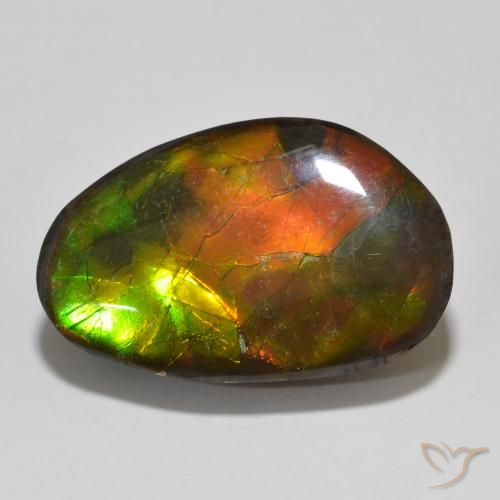 13.56ct 자연스러운 다색 암몰라이트, 팬시한, 불투명체