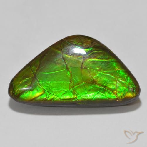 15.46ct 자연스러운 다색 암몰라이트, 팬시한, 불투명체