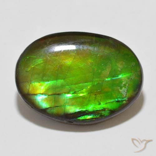 12.26ct 자연스러운 다색 암몰라이트, 타원형, 불투명체