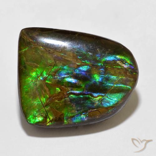 15.49ct 자연스러운 다색 암몰라이트, 팬시한, 불투명체