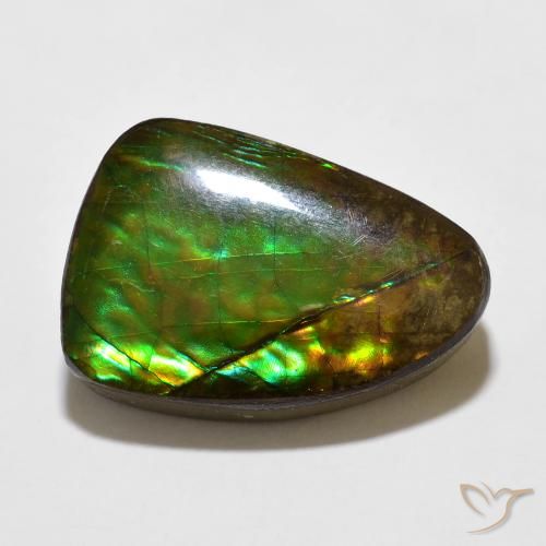 10.67ct 자연스러운 다색 암몰라이트, 팬시한, 불투명체