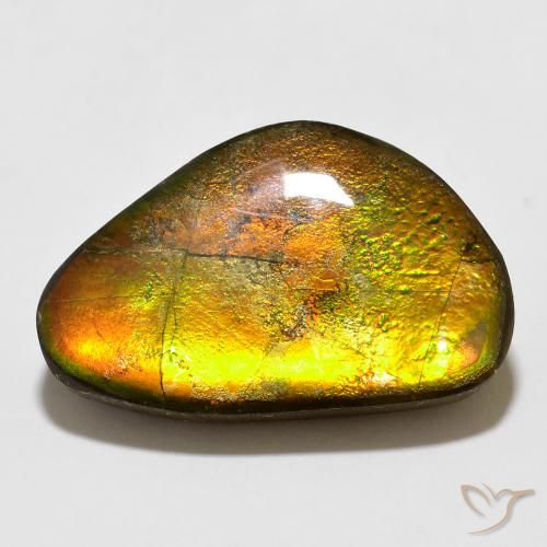 12.35ct 자연스러운 다색 암몰라이트, 팬시한, 불투명체