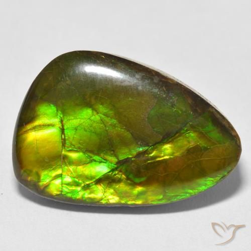 17.22ct 자연스러운 다색 암몰라이트, 팬시한, 불투명체