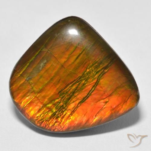 17.88ct 자연스러운 다색 암몰라이트, 팬시한, 불투명체