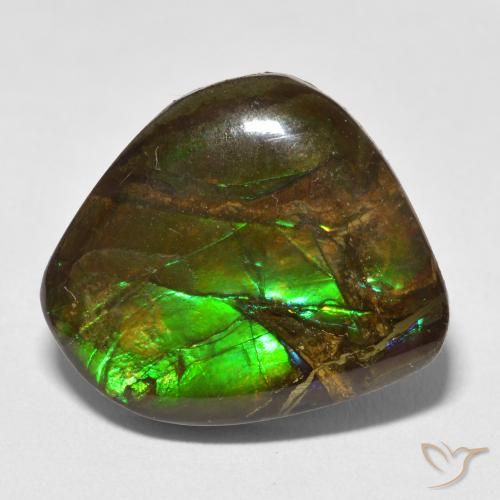 13.52ct 자연스러운 다색 암몰라이트, 팬시한, 불투명체