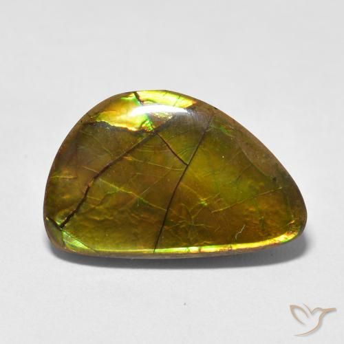 11.63ct 자연스러운 다색 암몰라이트, 팬시한, 불투명체