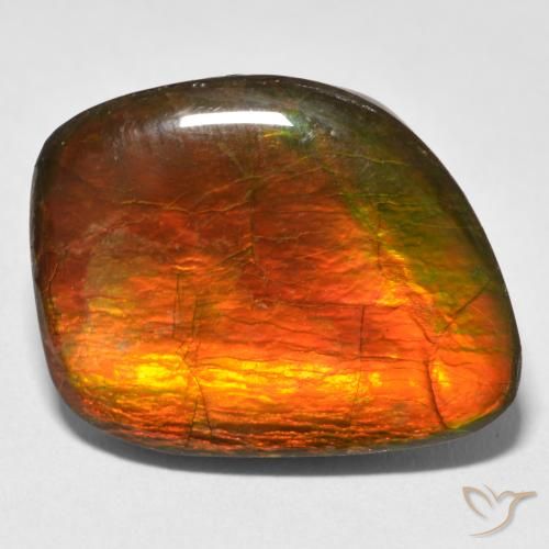 15.38ct 자연스러운 다색 암몰라이트, 팬시한, 불투명체