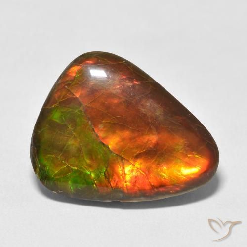 13.25ct 자연스러운 다색 암몰라이트, 팬시한, 불투명체