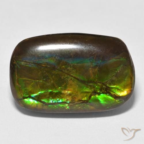 16.16ct 자연스러운 다색 암몰라이트, 팬시한, 불투명체