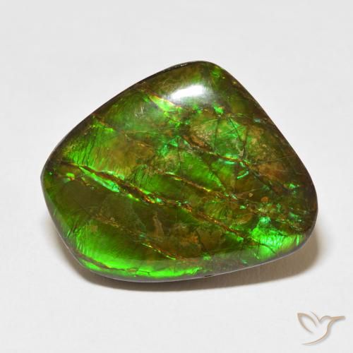 18.11ct 자연스러운 다색 암몰라이트, 팬시한, 불투명체