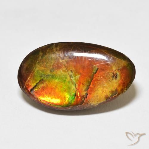 15.62ct 자연스러운 다색 암몰라이트, 팬시한, 불투명체