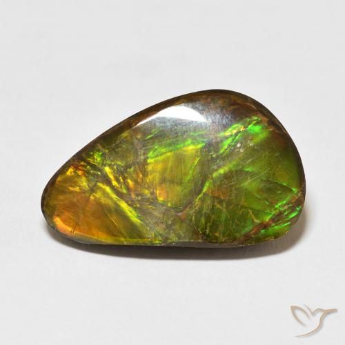 14.61ct 자연스러운 다색 암몰라이트, 팬시한, 불투명체