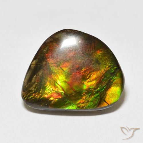 11.60ct 자연스러운 다색 암몰라이트, 팬시한, 불투명체