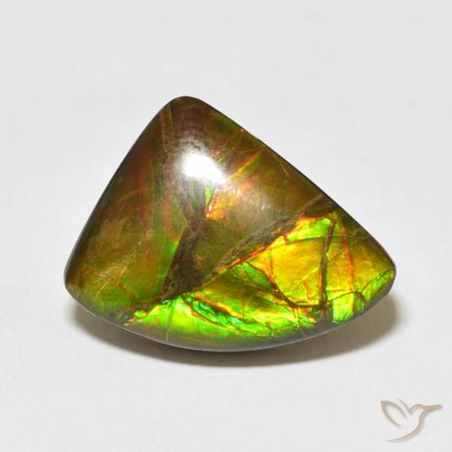 10.22ct 자연스러운 다색 암몰라이트, 팬시한, 불투명체