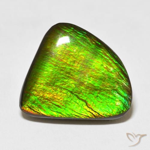 16.47ct 자연스러운 다색 암몰라이트, 팬시한, 불투명체