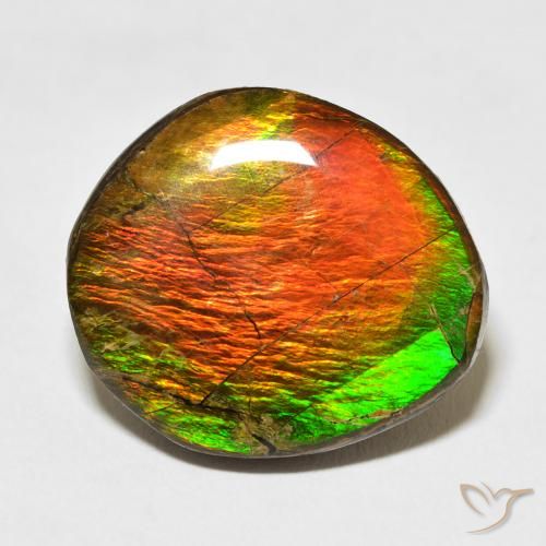 17.77ct 자연스러운 다색 암몰라이트, 팬시한, 불투명체
