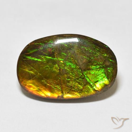 16.55ct 자연스러운 다색 암몰라이트, 팬시한, 불투명체