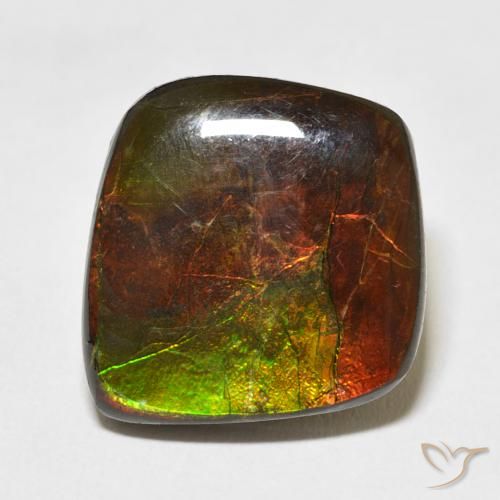 11.81ct 자연스러운 다색 암몰라이트, 팬시한, 불투명체
