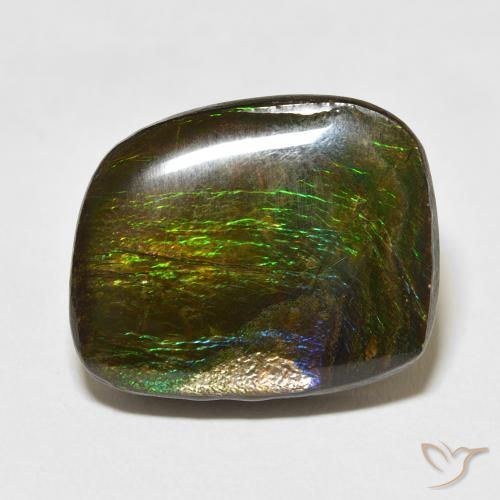 19.50ct 자연스러운 다색 암몰라이트, 팬시한, 불투명체