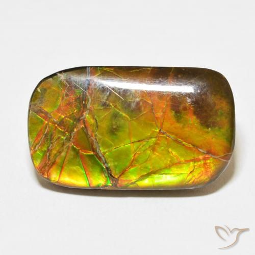 16.23ct 자연스러운 다색 암몰라이트, 방석, 불투명체