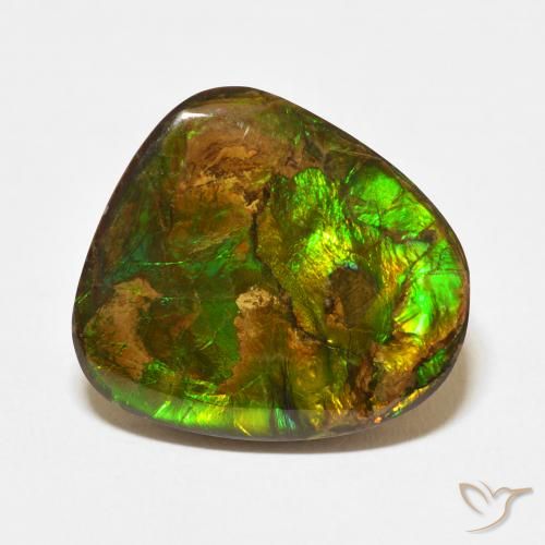 13.95ct 자연스러운 다색 암몰라이트, 팬시한, 불투명체