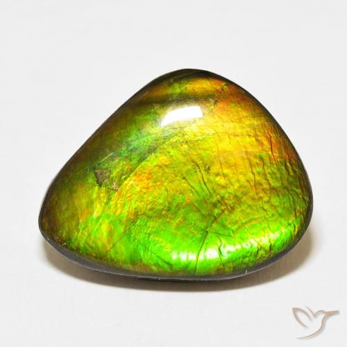 15.27ct 자연스러운 다색 암몰라이트, 팬시한, 불투명체