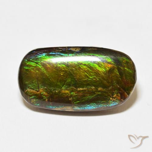 12.73ct 자연스러운 다색 암몰라이트, 팬시한, 불투명체