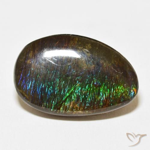 14.24ct 자연스러운 다색 암몰라이트, 팬시한, 불투명체