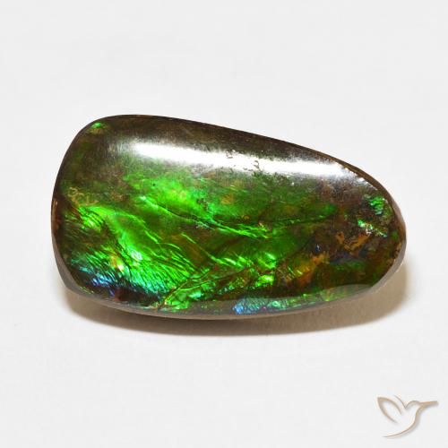 12.15ct 자연스러운 다색 암몰라이트, 팬시한, 불투명체