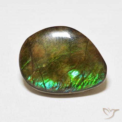 11.66ct 자연스러운 다색 암몰라이트, 팬시한, 불투명체