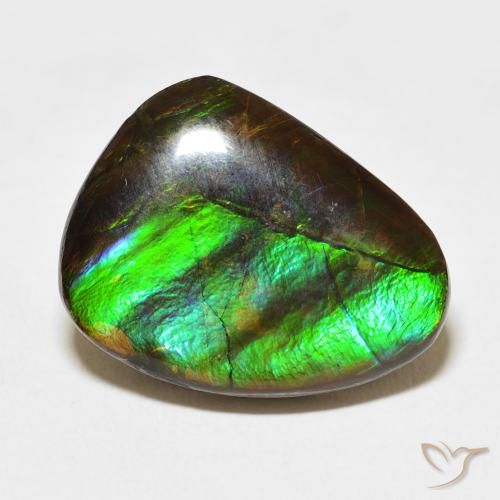 11.84ct 자연스러운 다색 암몰라이트, 팬시한, 불투명체