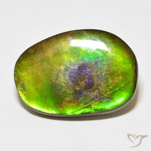 21.49ct 자연스러운 다색 암몰라이트, 팬시한, 불투명체