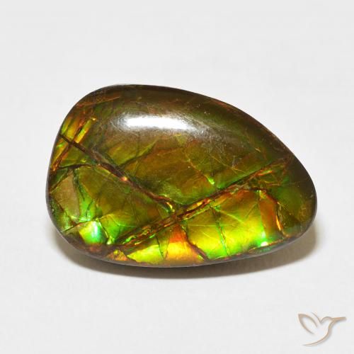 11.07ct 자연스러운 다색 암몰라이트, 팬시한, 불투명체