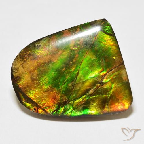20.38ct 자연스러운 다색 암몰라이트, 팬시한, 불투명체