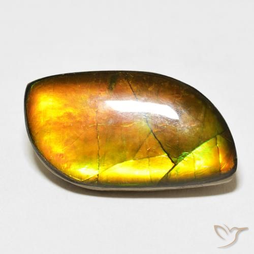 14.45ct 자연스러운 다색 암몰라이트, 팬시한, 불투명체