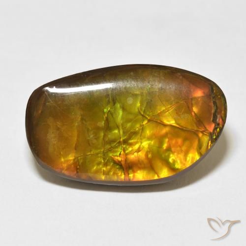 17.48ct 자연스러운 다색 암몰라이트, 팬시한, 불투명체