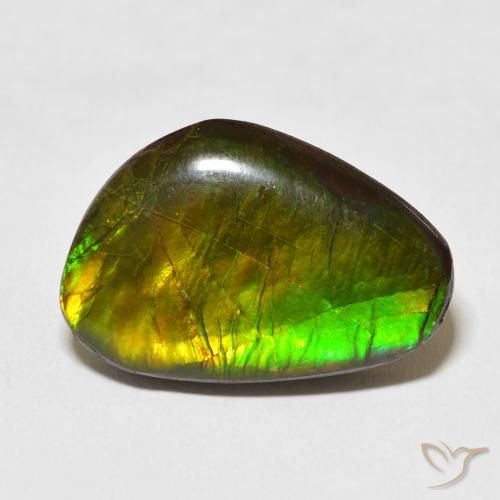 13.79ct 자연스러운 다색 암몰라이트, 팬시한, 불투명체