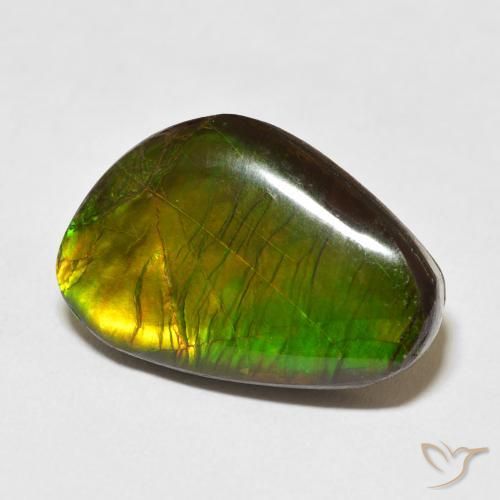 13.79캐럿 천연 다색 암몰라이트, 팬시한, 불투명체