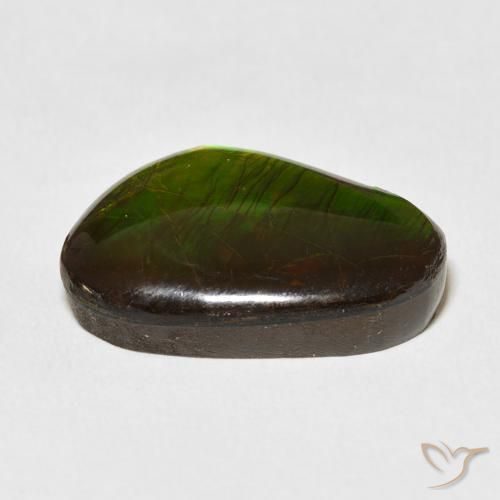 13.79캐럿 천연 다색 암몰라이트, 팬시한, 불투명체