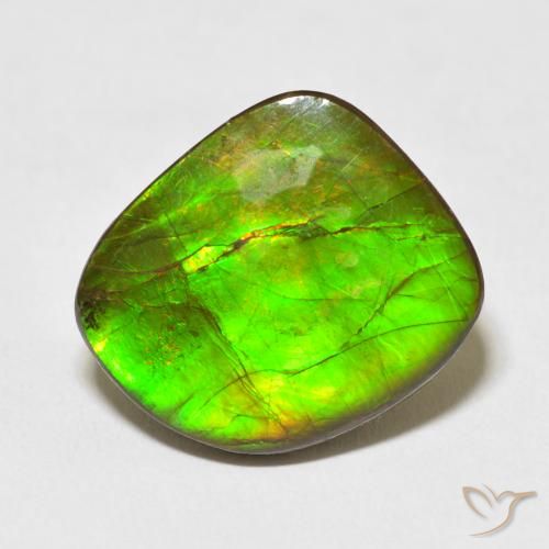10.95ct 자연스러운 다색 암몰라이트, 팬시한, 불투명체