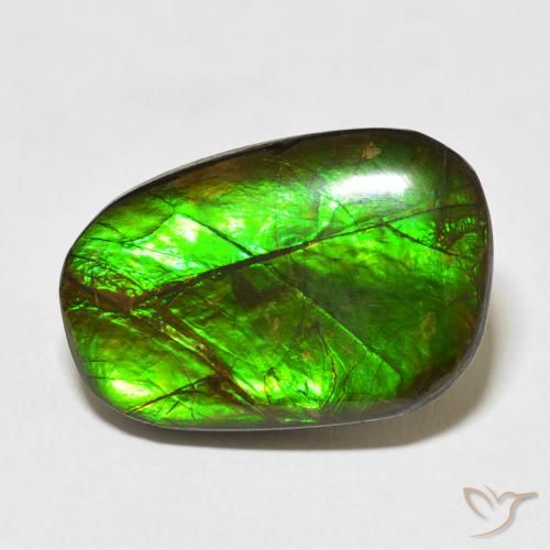 13.96ct 자연스러운 다색 암몰라이트, 팬시한, 불투명체