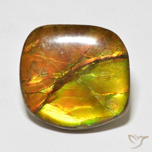 15.37ct 자연스러운 다색 암몰라이트, 팬시한, 불투명체